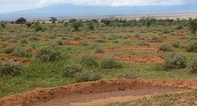 Kenya: Amboseli