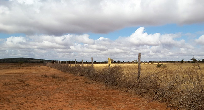 Kenya: Amboseli