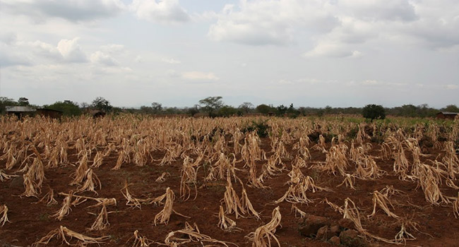 Tanzania